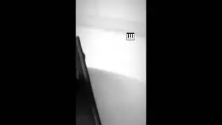 9mice &mdash; окна (Snippet 07.03.2025)