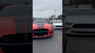Spotkanie samochod&oacute;w Shelby GT500 Rolling Through 🏎️