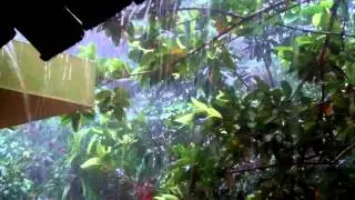 Rain in Pathanamthitta Kerala , India