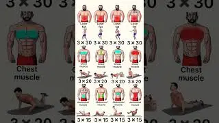 Workout to transform your body from fat to muscle