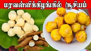 மரவள்ளிகிழங்கில் சூசியம் ரெடி | village life | vanni vlog