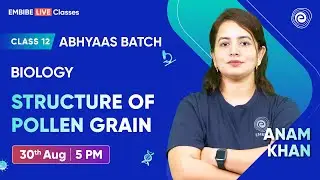 Structure of Pollen Grain | Class 12 | Biology | Abhyaas Batch | Anam Khan | Embibe