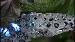 &Ouml;xx&ouml; X&ouml;&ouml;x - 