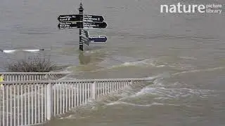Street signs submerged due to flooding, after Storm Ciara and Storm Dennis, UK, February, 2020.