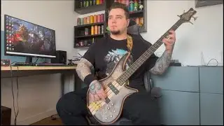 Red Hot Chili Peppers - Dark Necessities (Bass Cover)