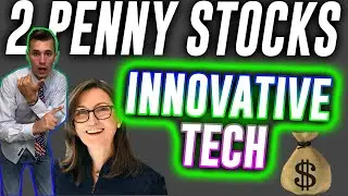ARK INVEST OWNS THESE 2 PENNY STOCKS | 1000% +