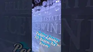 ❄️ Inside the Peller Estates Winery Icewine Lounge! 🍷🇨🇦 #PellerEstates #Niagarawineries #winetours