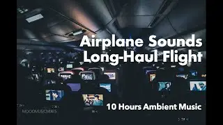 [ SLEEP FAST & WELL ] Long-Haul Flight Airplane Sound (10 hours) - Background White Noise