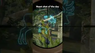#cotwgameplay #deerhunting #hunting #flinter #thehuntercotw #huntinggame #wildhunting #rehunter