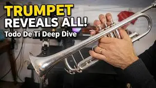 Trompeta: Me gusta Todo De Ti (Musical Analysis & Cultural Impact)