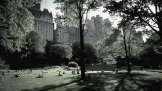 Central Park - Curtis Macdonald - Cool Jazz/Chill Music