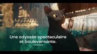 Flow | trailer | FEFFS 2024