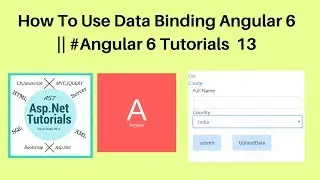 How to use data binding in angular 6 || 