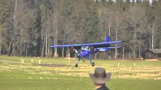 Erstflug Frisch Wilga 320cm Hanruedi