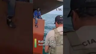 Ocean Odyssey: Stowaways' 14-Day Journey from Nigeria to Brazil