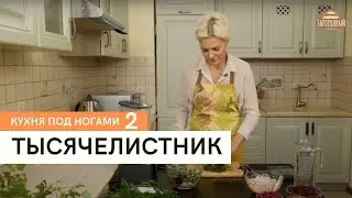 Тысячелистник \ Кухня под ногами. Сезон 2