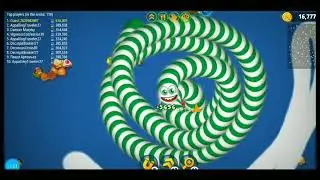 WORMSZONE.IO GreenStripe customized worm #wormszone