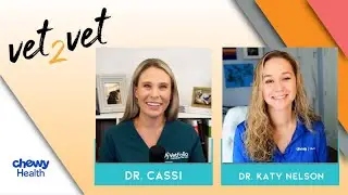 Compare to Prepare: Boosting Your Practice&rsquo;s Health with Benchmarking | A Vet2Vet Conversation