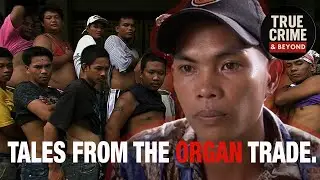 Organ Thieves - How Do They Operate? | Tales From The Organ Trade | Full Documentary