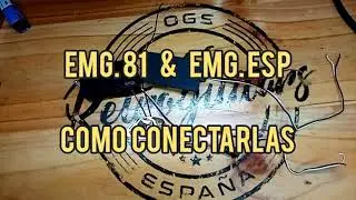 EMG 81 y EMG ESP como se conectan