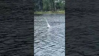 IRMSC Rescue Crew Tryouts