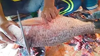 Ruhi Fish Cutting Skills | Professional Fish Cutting & Cleaning Tutorial