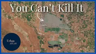 How California Destroyed its Largest Freshwater Lake.