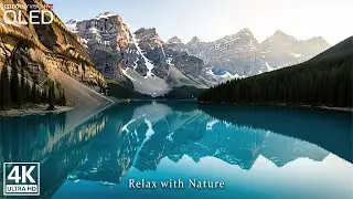 Pure Silence in Nature: Calm Lake Reflection | Silent Nature Ambience