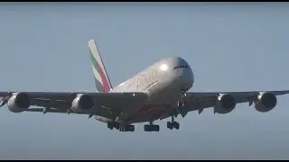 Auckland airport Night Livestream with Kev and Kurt (KDS)