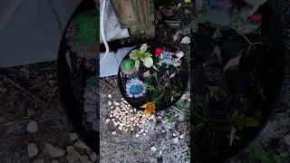 Little flower pot with the little fairy garden setup on the bottom steps of the deck#shortvideos