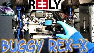 Reely REX-X 1:8  Buggy [Kalt & Schnee]