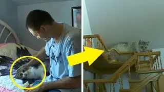 Man With Asperger&rsquo;s Syndrome Spends Over 15 Years Transforming His Home Into A Cat Playhouse