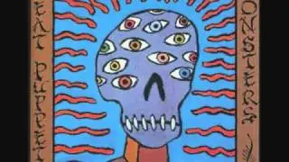 Meat Puppets - Flight of The Fire Weasel