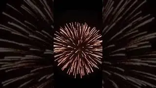 6Inch (150mm) Display Shell [ Silver Kamuro ] #fireworksdisplay #pyro #fireworks #fireworksfestival