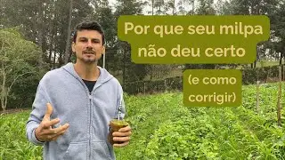 Ter&ccedil;a do Milpa! Veja onde plantar a ab&oacute;bora &mdash; isso faz toda a diferen&ccedil;a
