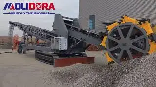 Wheel-bucket reclaimer conveyor
