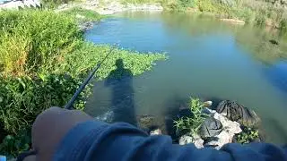 CAST TO CATCH largemouth Bass #ufobaitco #swimbaitsonly #swimbaits #shimano