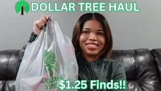 DOLLAR TREE HAUL | GREAT FINDS -- Autumn Finds