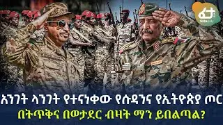 Ethiopia - አንገት ላንገት የተናነቀው የሱዳንና የኢትዮጵያ ጦር በትጥቅና በወታደር ብዛት ማን ይበልጣል?