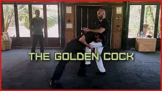 No Takedowns With The Golden Cock-Stopper!
