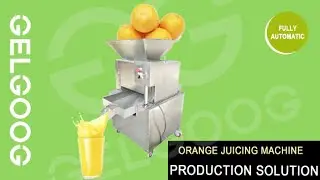 Industrial Roller Type Orange Juicer  Machine