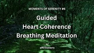 GUIDED HEART COHERENCE Breathwork & Affirmations | Moments of Serenity #6 | Serene & Cozy Co. 2023