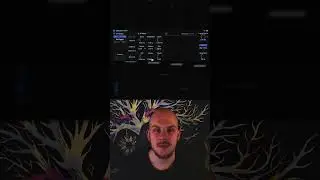 Every Ableton Effect Explained Day 36: Spectral Time #Ableton #Effects #Explained #Tutorial