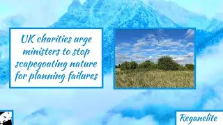 UK charities urge ministers to stop scapegoating nature for planning failures