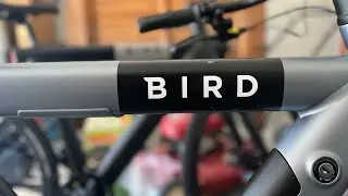 Bird Bike has a defective Carbon Drive Belt