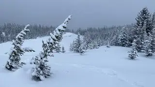 Snowy Forest Mountain Summit Views