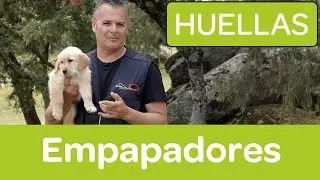 Empapadores para cachorros - Nacho Sierra - HUELLAS