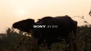 Sony ZV-E10: Reconnecting with the Real World | Episode 01