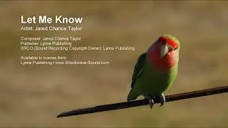 Let Me Know - Jared Chance Taylor | Ambient Piano | Background Royalty Free Music | Shockwave-Sound
