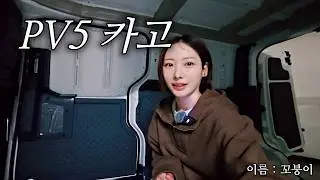 2400만원&hellip; 결국 질렀습니다 &middot; PV5 카고
